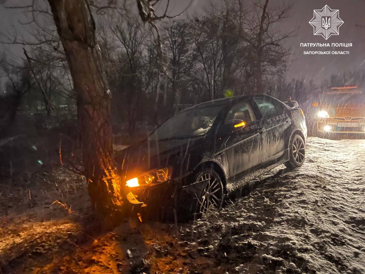 В Запорожье водитель не справился с управлением и въехал в дерево (ФОТО)
