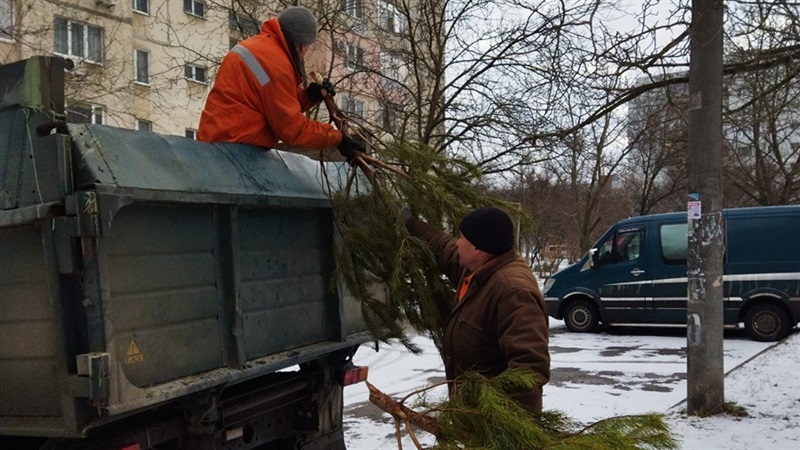 В Запорожье продолжают утилизировать елки (ФОТО)