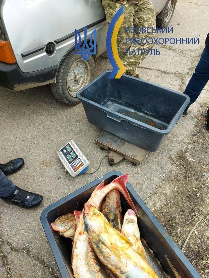 В Бердянске возле гаражей торговали краснокнижной рыбой (ФОТО)
