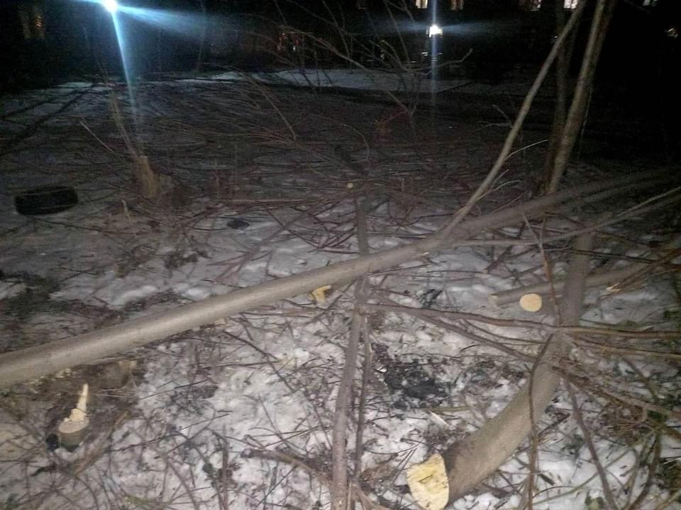 В Запорожье отец с сыном бензопилой и топором уничтожали деревья (ФОТО)
