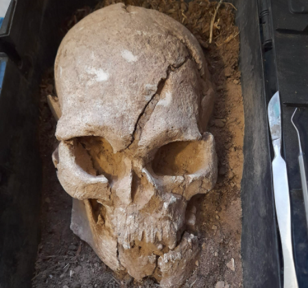 На Мамай-Горе в Запорожской области нашли древний череп (фото)