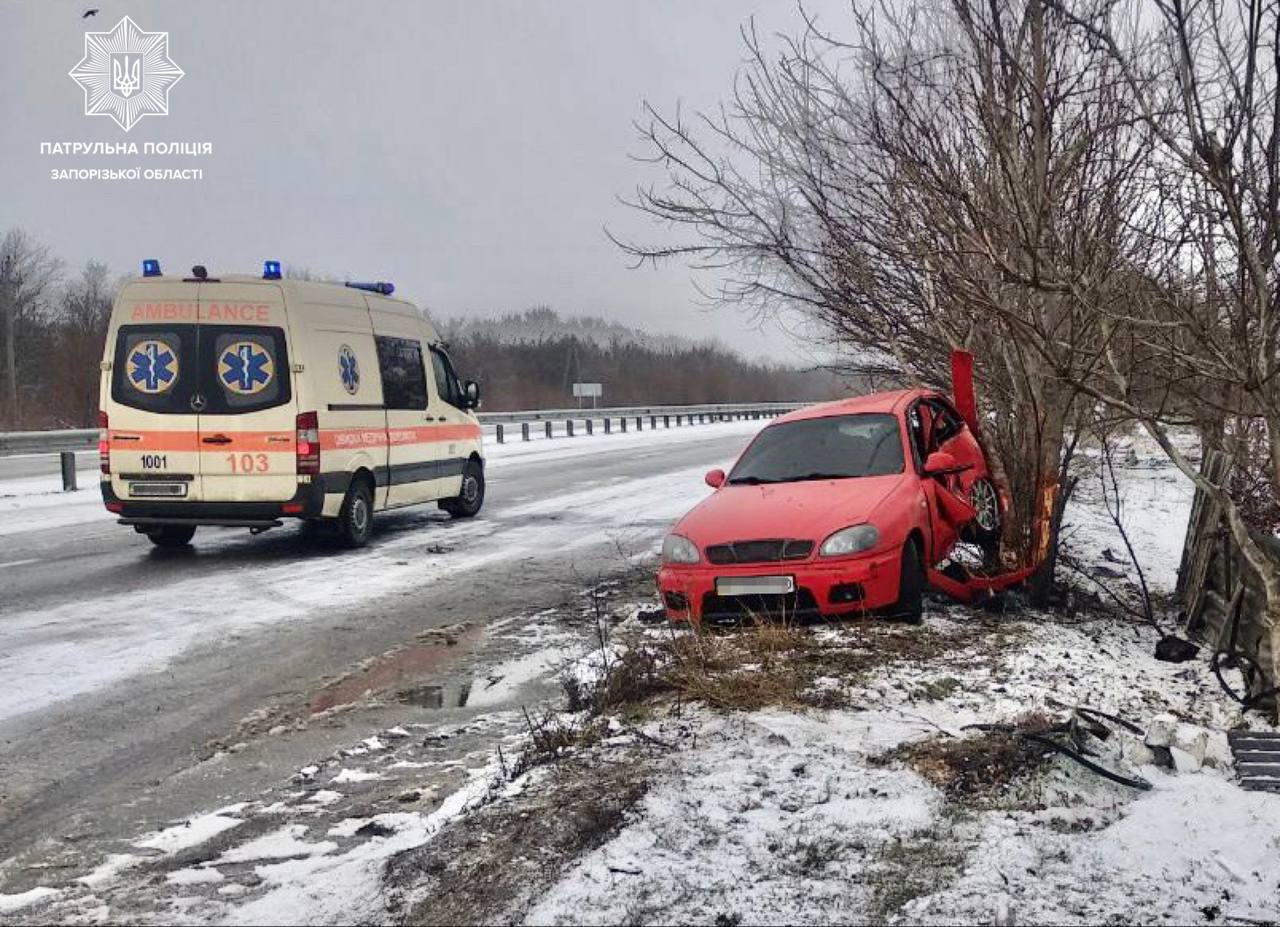 В Запорожье автомобиль врезался в дерево: пострадали два человека