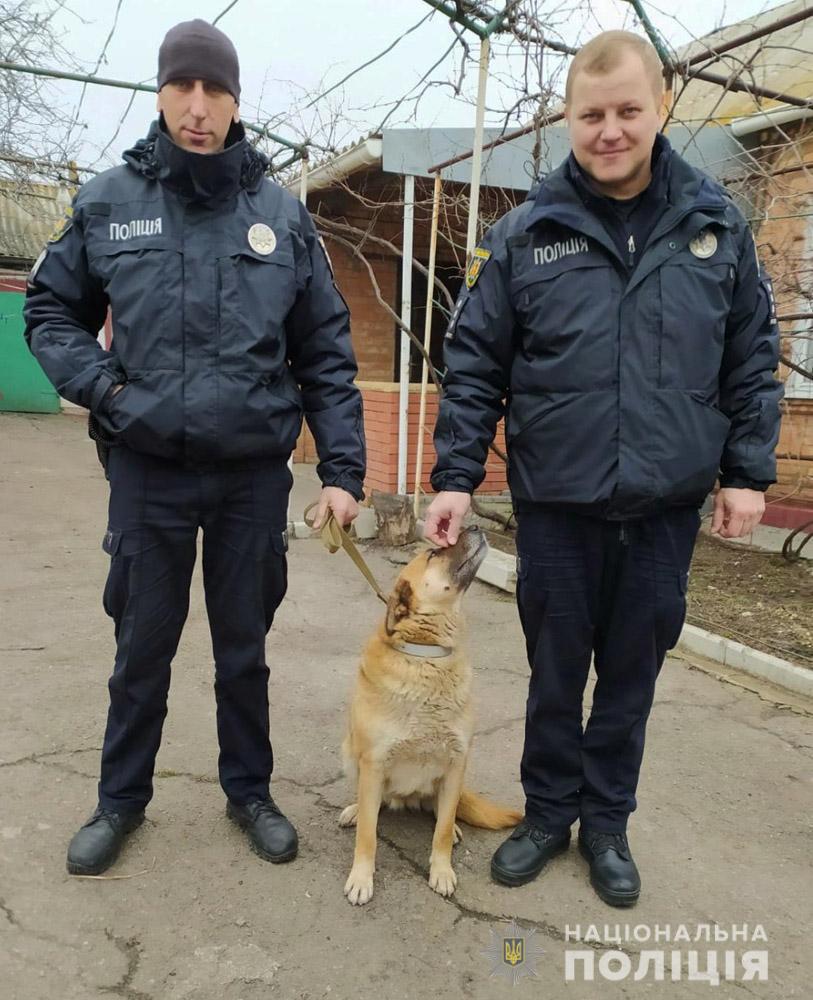 В Запорожской области похитили и издевались над собакой (фото)
