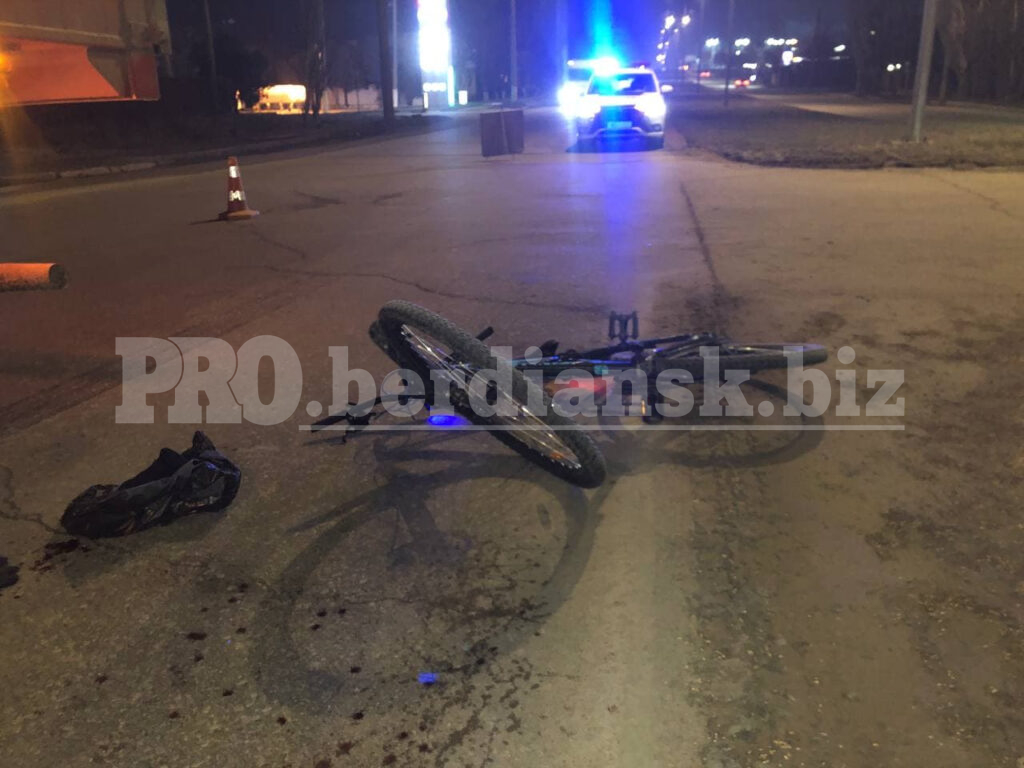 В Запорожской области пьяный велосипедист угодил под колеса фуры (ВИДЕО, ФОТО)