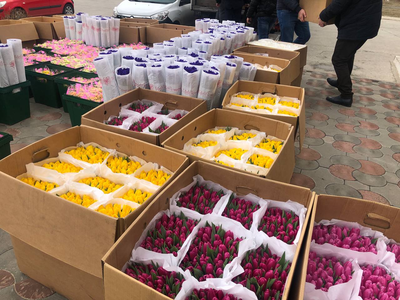 Для жінок в Енергодарі передали 35 тисяч квітів (ФОТО)