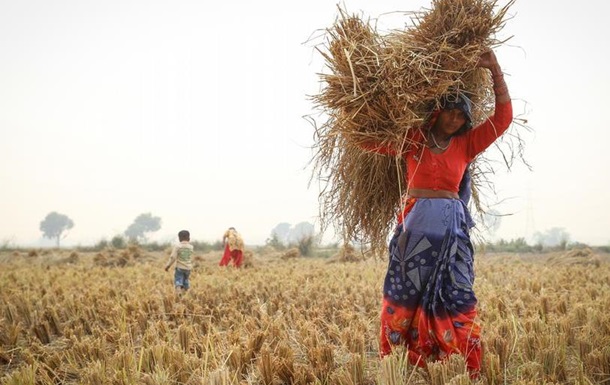 Індія користується війною в Україні, щоби зміцнити позиції на ринку зернових – ЗМІ
