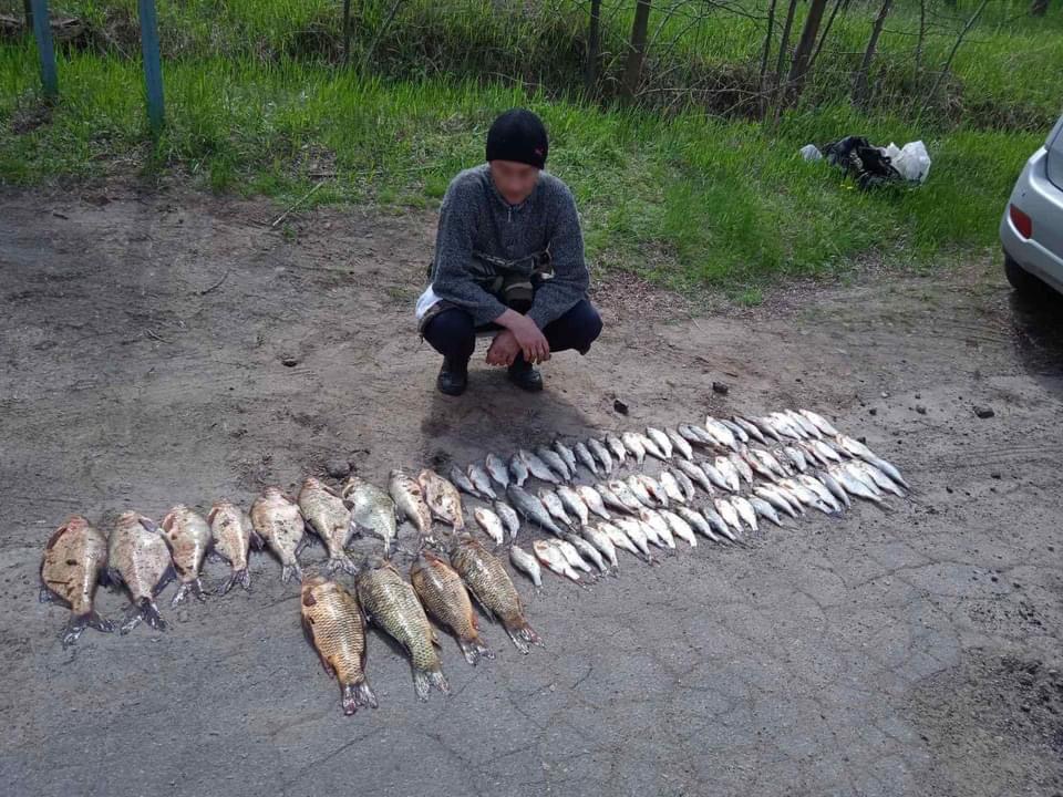 Більше 200 тисяч збитків: у Запорізькому районі затримали браконьєрів (ФОТО)