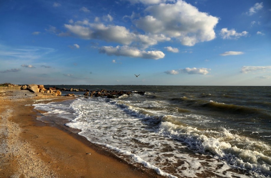 Через бомбардування окупантами Азовсталі є загроза повного вимирання Азовського моря