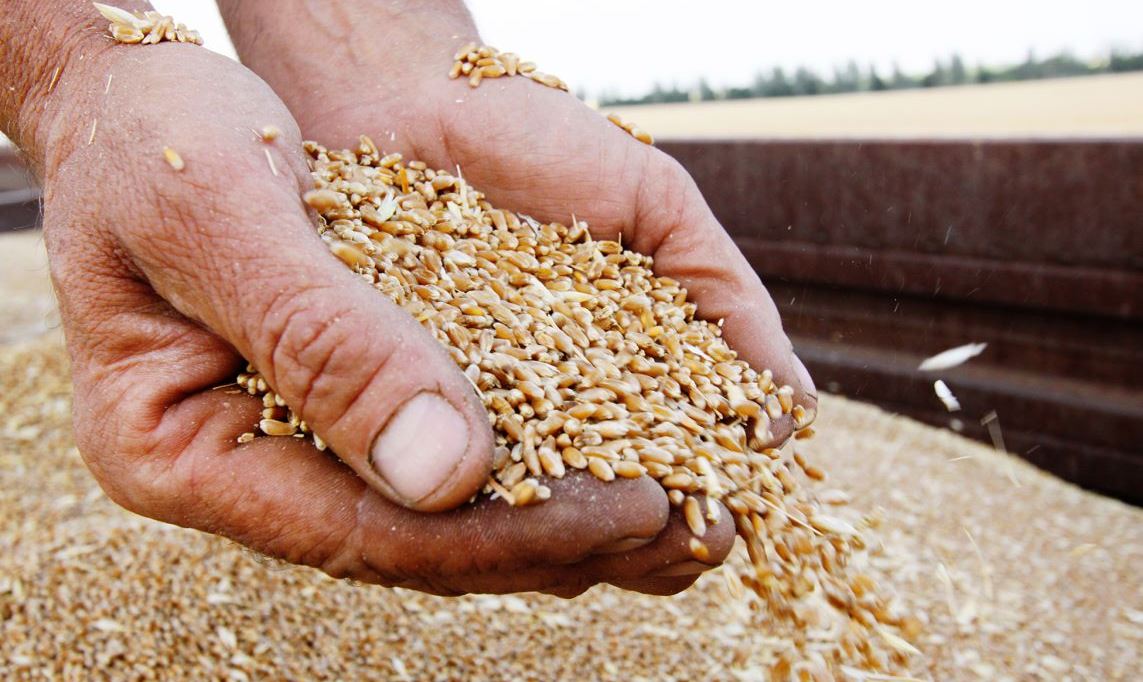 Запорізька та інші підконтрольні Україні території області забезпечені продовольчим зерном