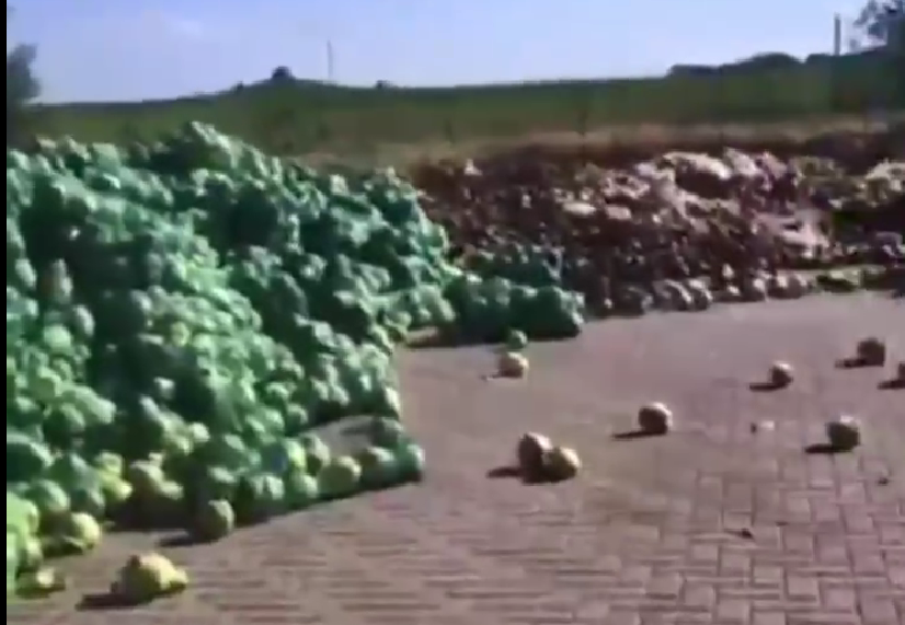 Через окупантів у Запорізькій області водії фур продовжують викидати тони овочів посеред дороги (ВІДЕО)