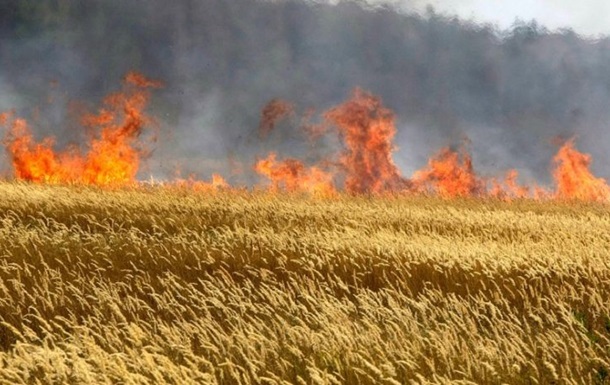 У Запорізькій області рашисти випалюють фосфорними бомбами пшеничні поля