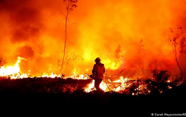У низці країн Європи не вщухають лісові пожежі