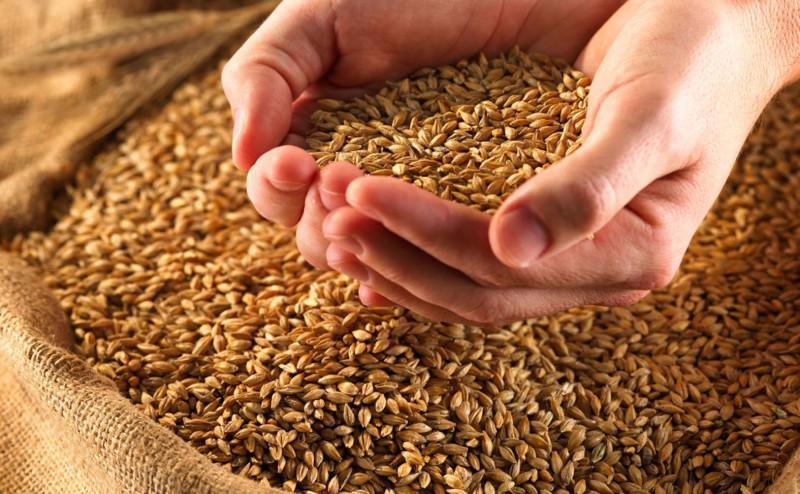 У Запорізькій області з підприємства окупанти викрали понад 400 тонн зернових культур