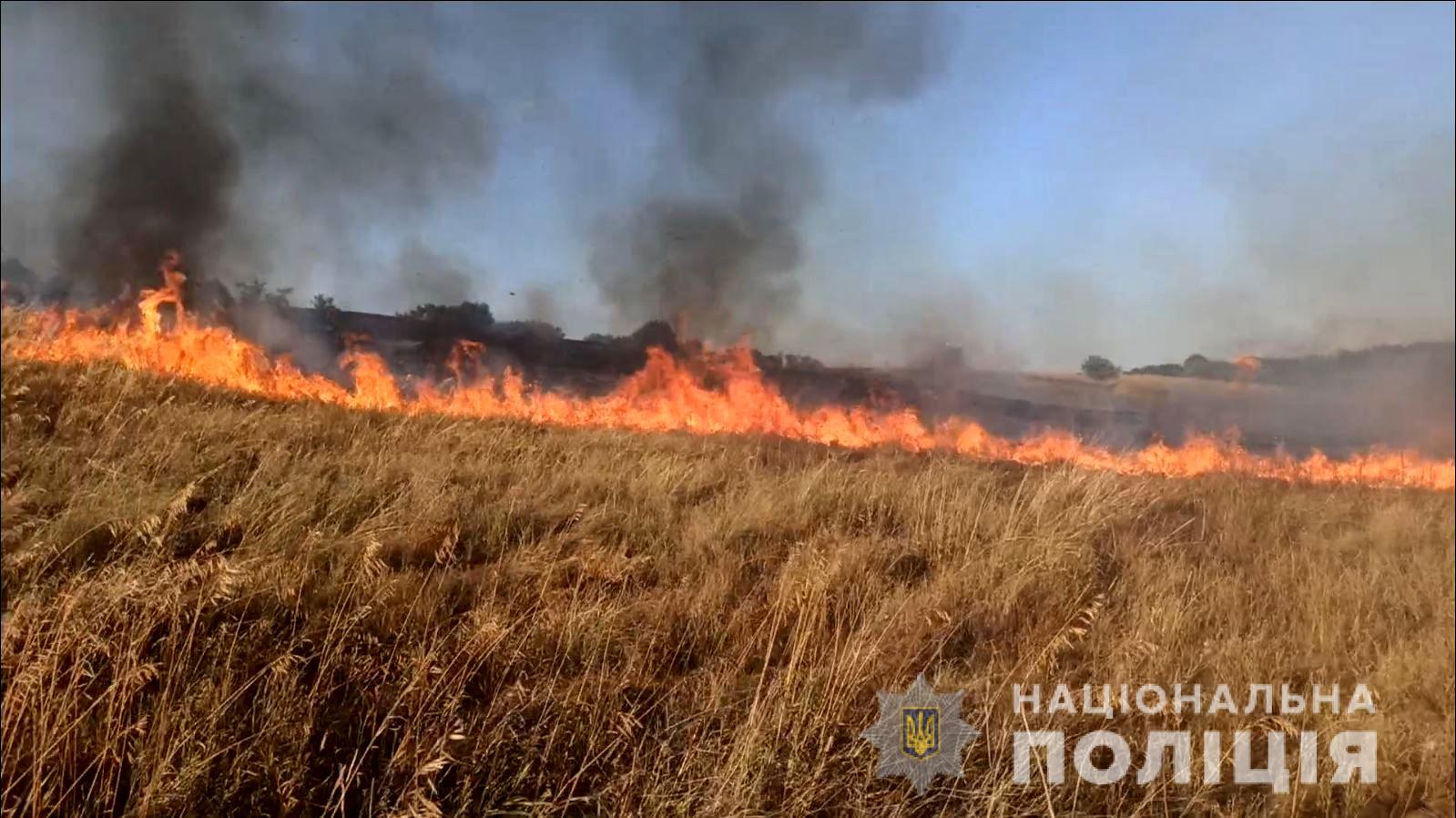 У Василівському районі ворожим вогнем знищено 70 гектарів врожаю з пшеницею (ФОТО)