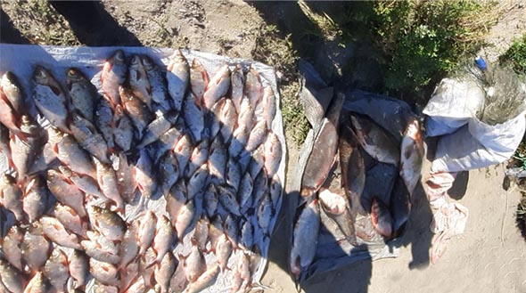 Понад 300 тис. грн збитків: у Запорізькому районі викрито рибалок-правопорушників(ФОТО)