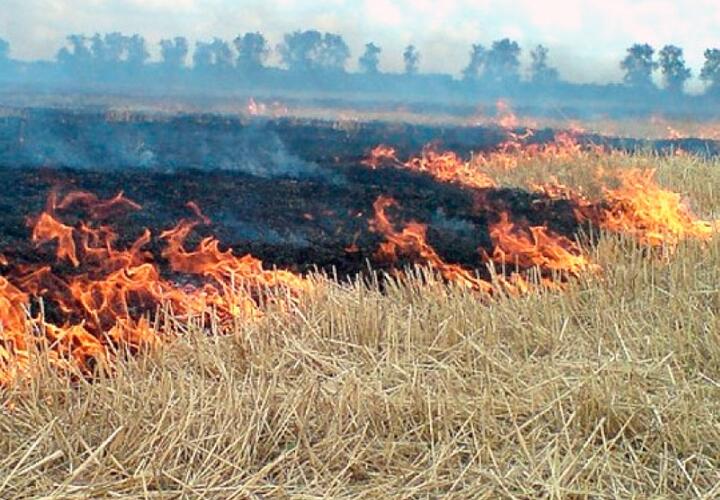 Окупанти обстріляли громаду в Запорізькому районі: загорілося поле