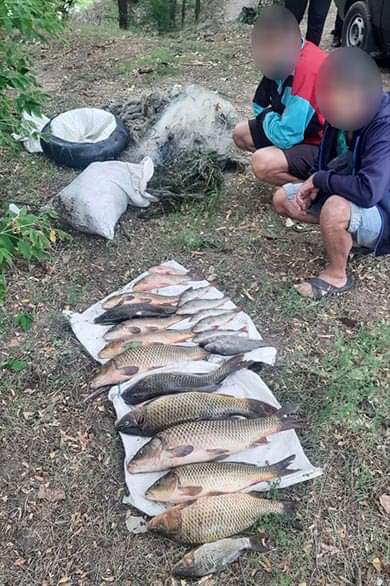 Поблизу Запоріжжя браконьєри спіймали риби на понад 65 тисяч гривень (ФОТО)