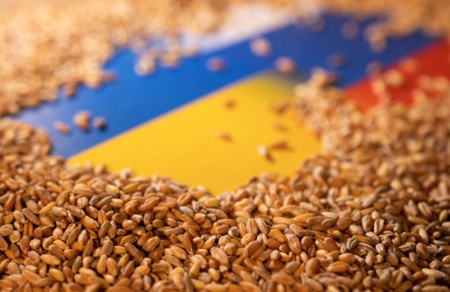 Повідомлено про підозру псевдокерівникам Запорізької зернової компанії, які вивозили до РФ викрадений український урожай
