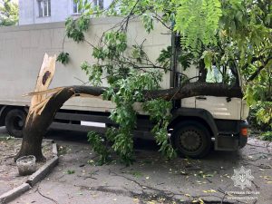 В Запорожье водитель фуры без документов въехал в дерево (фото)