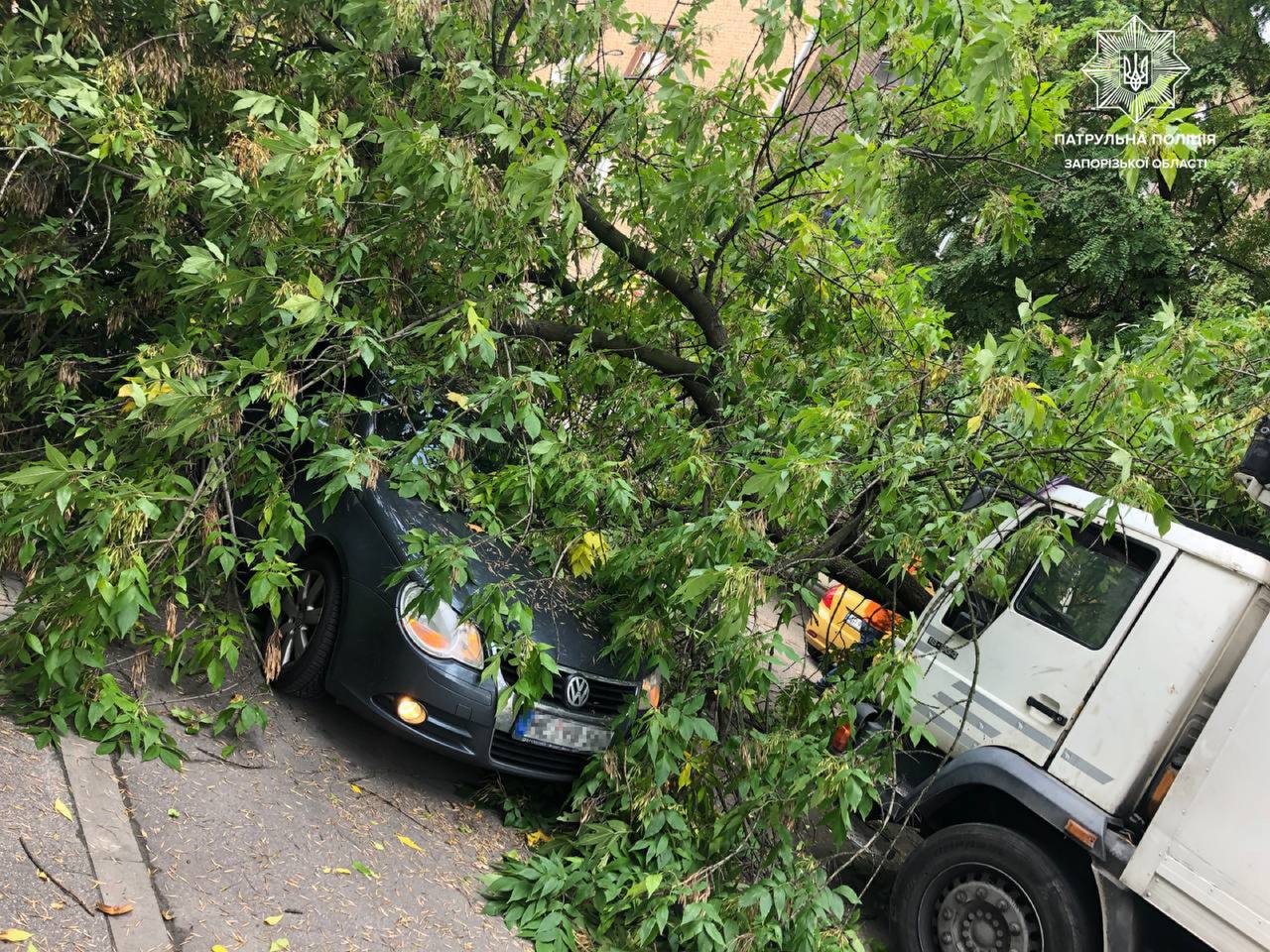 У Запоріжжі водій вантажівки без документів  в’їхав у дерево, яке впало на інше авто (ФОТО)