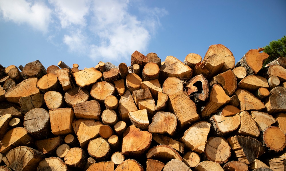 Сьогодні в Запорізькій області розпочнеться видача безоплатної паливної деревини для обігріву осель: як отримати