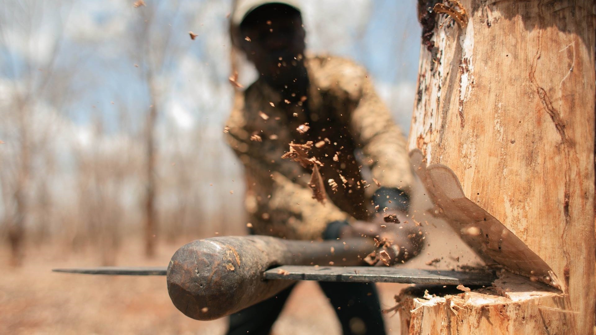В Мелітополі окупанти масово вирубають дерева (ФОТО)