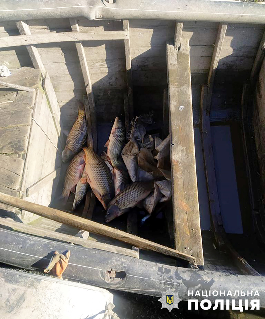 На Запоріжжі браконьєри наловили риби більш ніж на 30000 гривень (ФОТО)