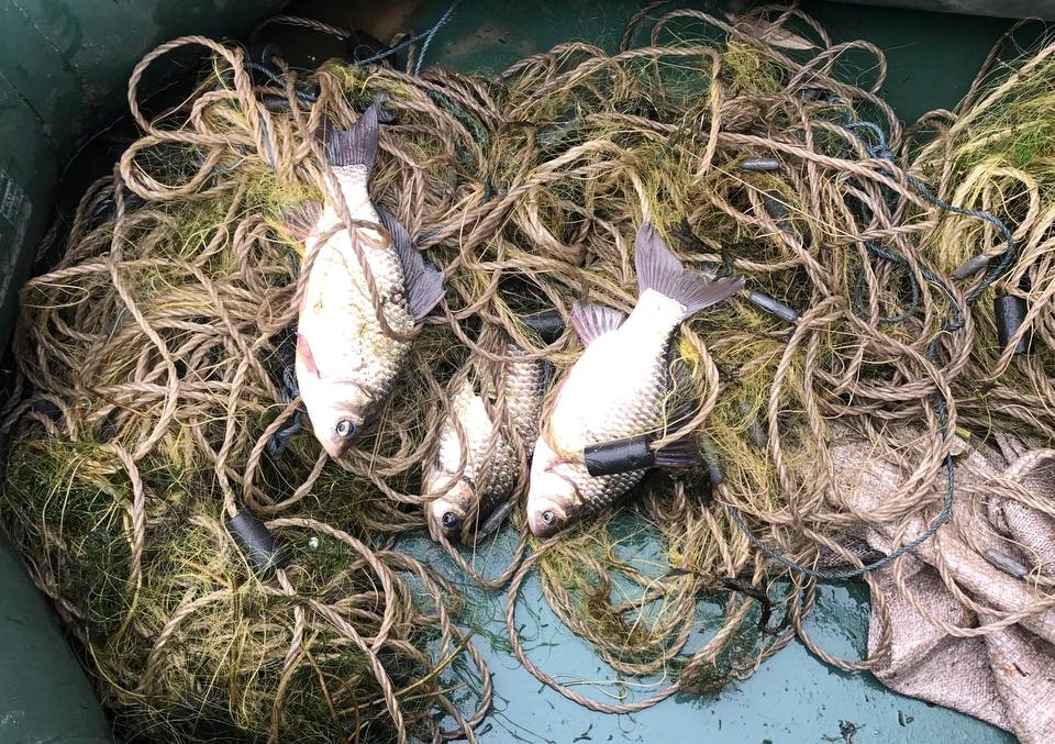 На Запоріжжі викрито шість грубих порушень правил рибальства (ФОТО)