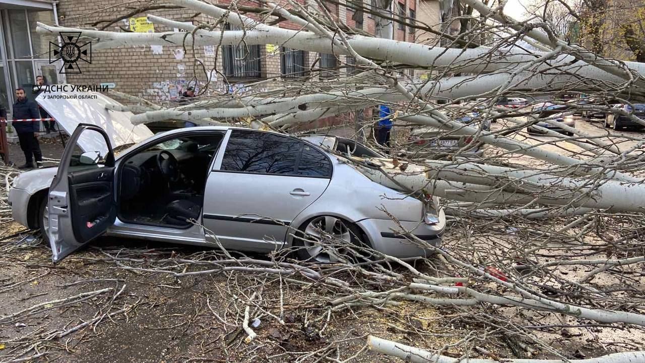 У Запоріжжі на легковий автомобіль впало дерево: травмувався чоловік, що проходив повз (ФОТО, ВІДЕО)