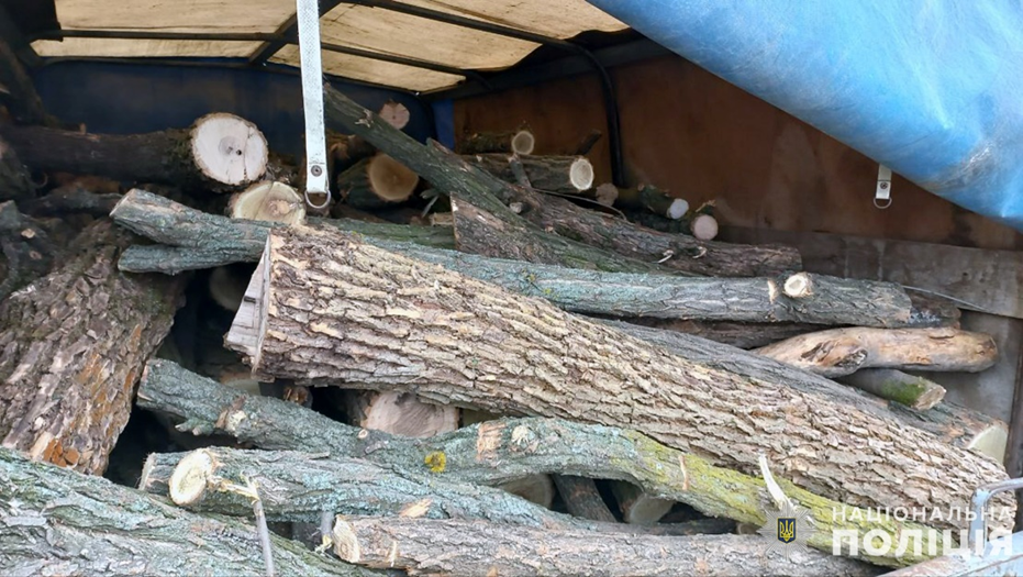 На Запоріжжі задокументовано 10 фактів незаконної порубки та перевезення деревини (ФОТО)