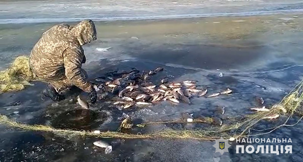 У Запоріжжі попередили збитки рибному господарству України на суму понад 600 тисяч гривень (ФОТО)