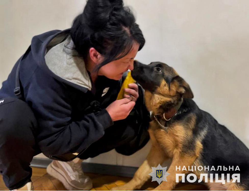 У Запоріжжі чоловік вкрав у жінки собаку під час прогулянки: поліція повернула власниці улюбленця (ФОТО, ВІДЕО)