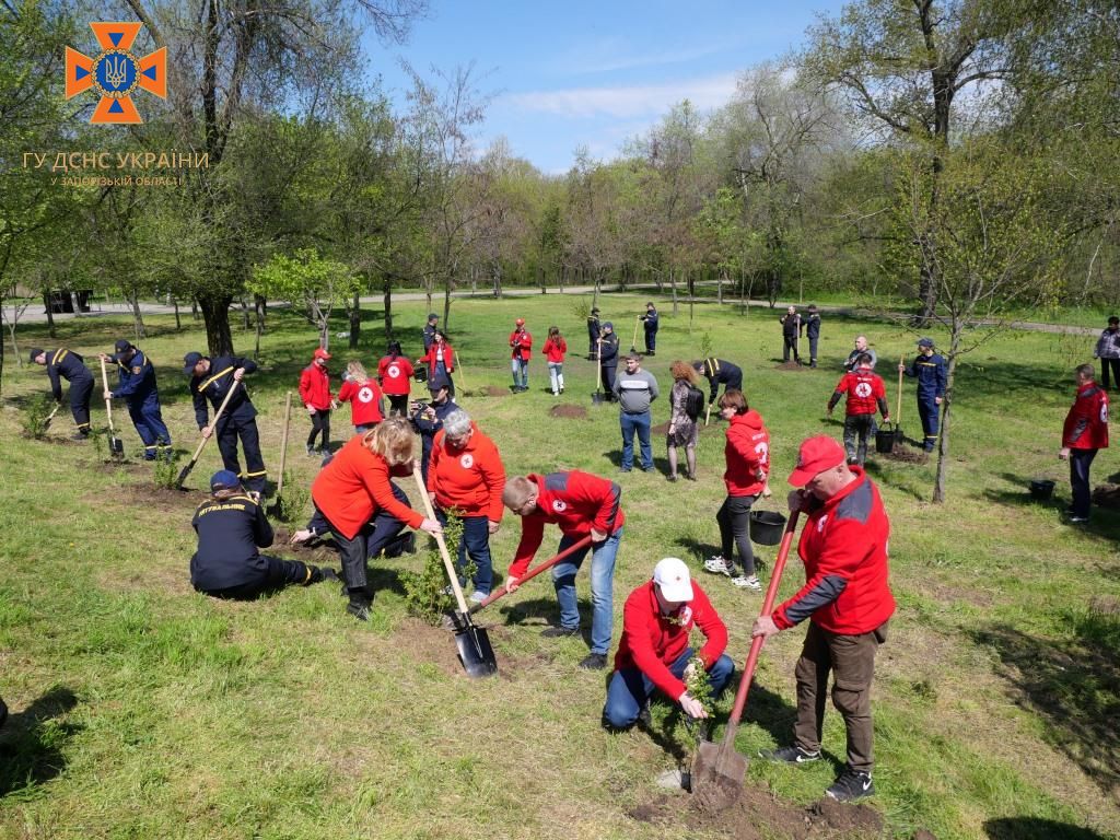У Запоріжжі рятувальники долучилися до Президентської програми «Зелена країна» та висадили більше 35 дерев у міському парку (ФОТО)
