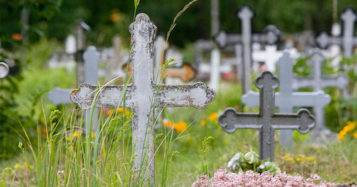 На ТОТ Запорізької області окупанти розривають могили у пошуках наживи (ВІДЕО)