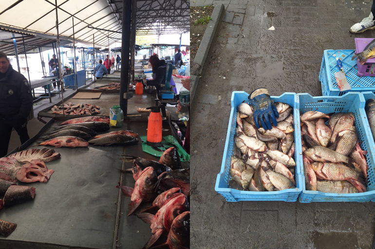 На Запоріжжі браконьєр наловив 55 кг риби на суму майже 140 тисяч гривень (ФОТО) 