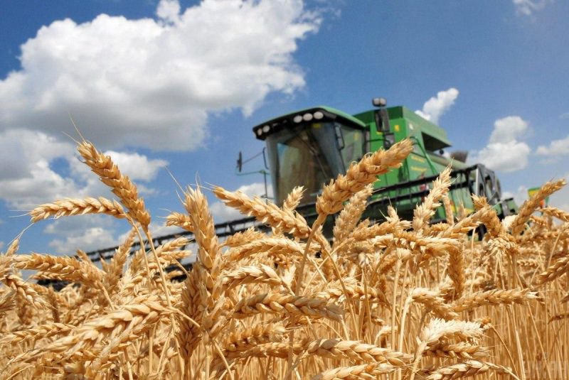 На Запоріжжі окупанти продовжують вивозити українське зерно