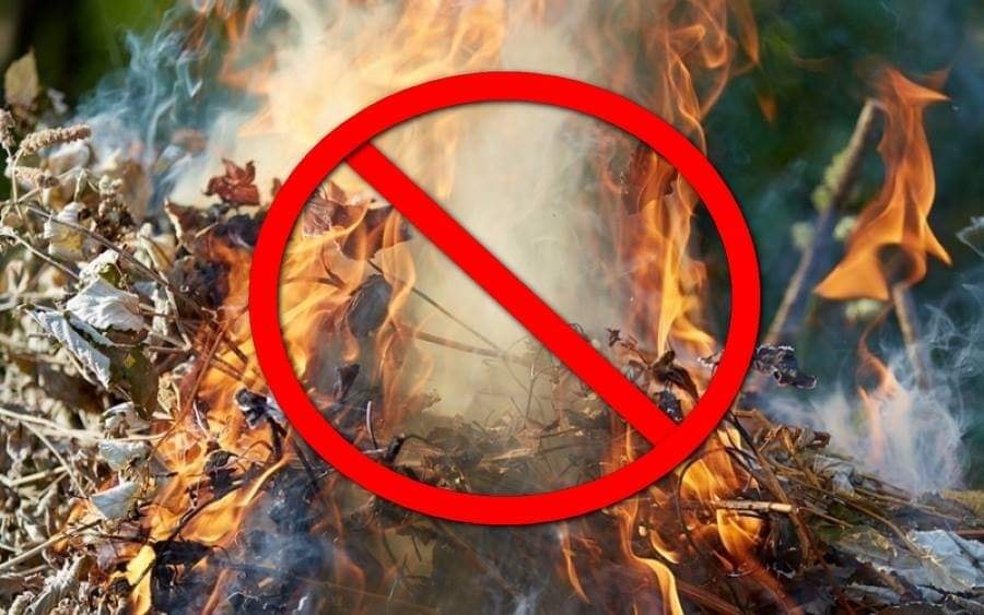 Стало відомо, які штрафи передбачені за спалювання сухої трави та опалого листя на Запоріжжі (ФОТО)