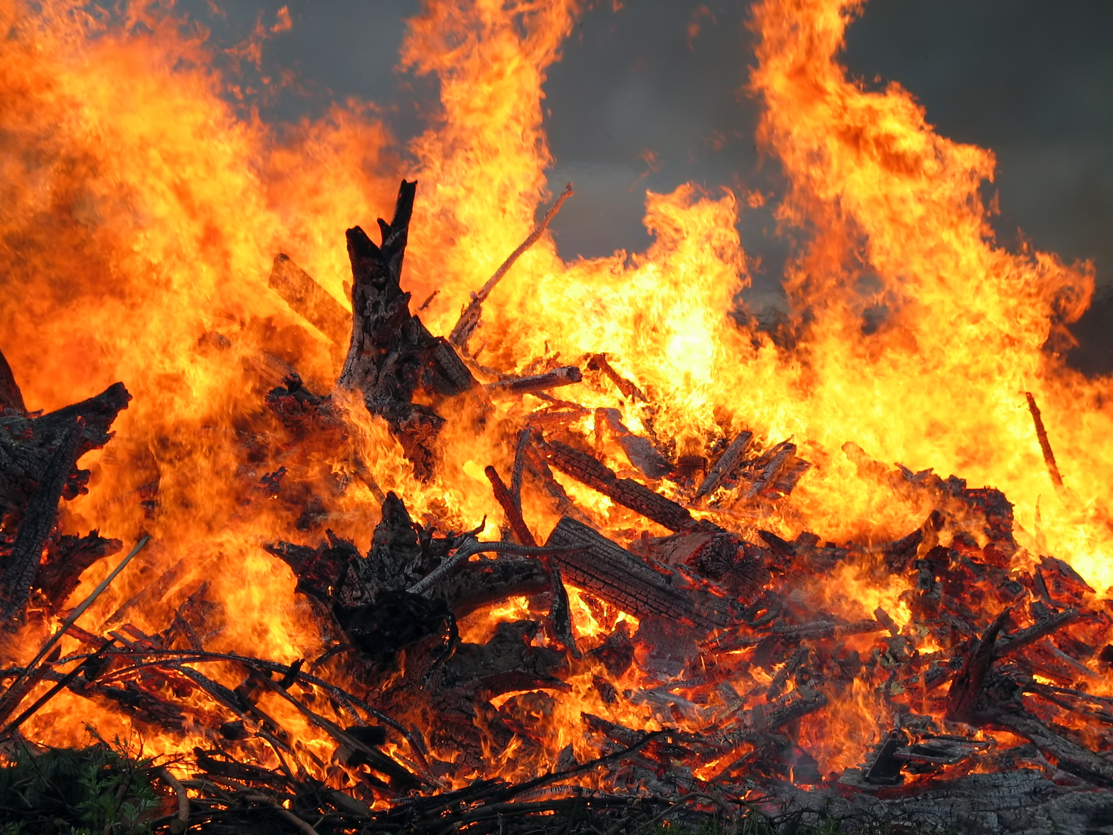 “Пекельна самоліквідація”: у Мелітополі окупаційні “МНСники” влаштували пожежу у бані (ВІДЕО)