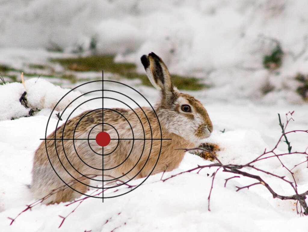 На Запоріжжі затримали групу мисливців, які займалися незаконним полюванням (ФОТО)