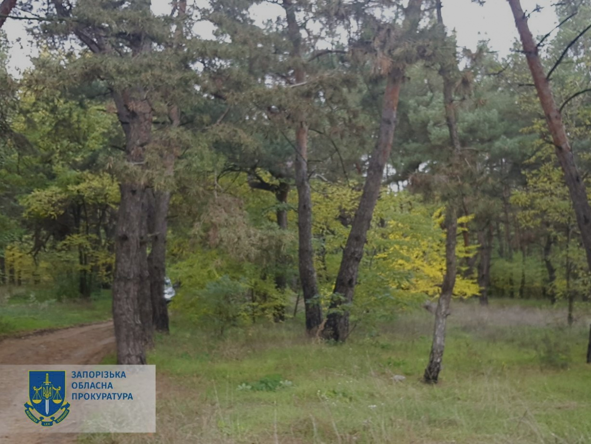 У Запорізькій області землі лісництва незаконно передали у приватну власність – подробиці